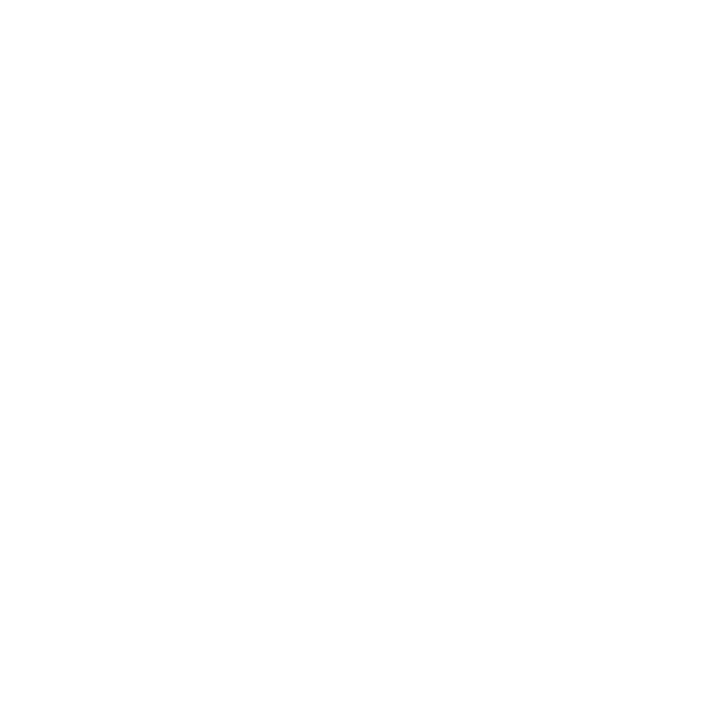 wordpress logotype wmark white